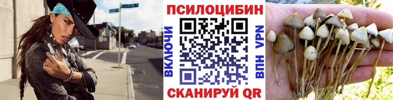 где купить наркоту  shop какой сайт  Галлюциногенные грибы Magic Shrooms  Холмск 